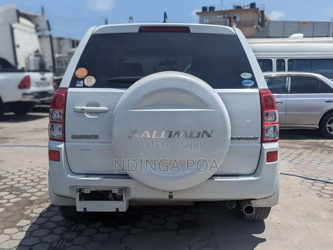 Suzuki Escudo 2007 White