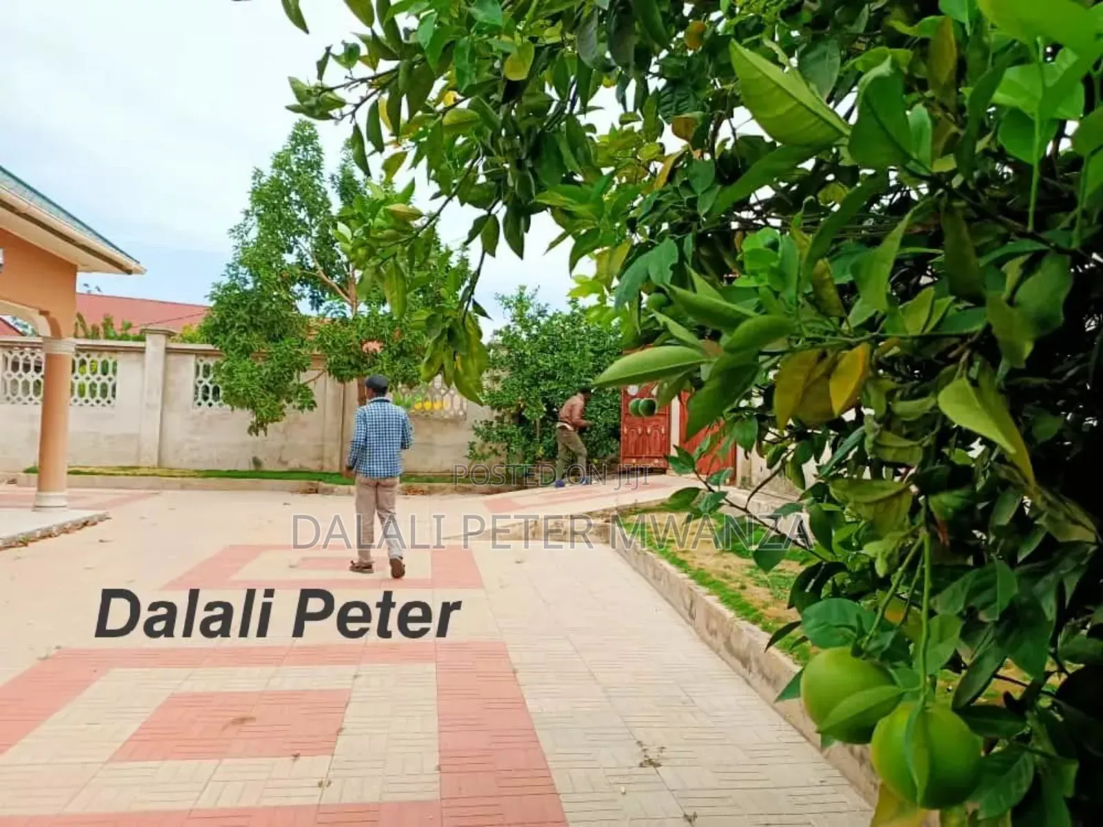 3bdrm House in Nyasaka, Ilemela for rent