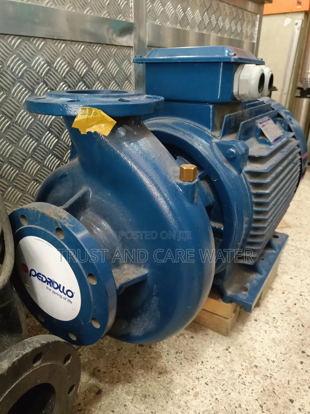 Pedrollo Surface Pump 100hp Three Phase