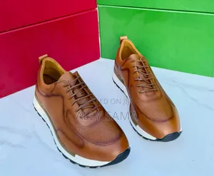 Men's Officials Shoes Berluti Brown Material Leather