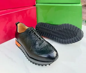 Men's Official Shoes Berluti Black Material Leather