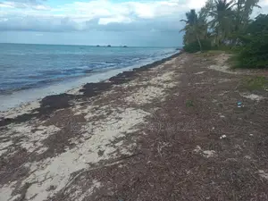 Beach Plot for Sale Kilwa Masoko