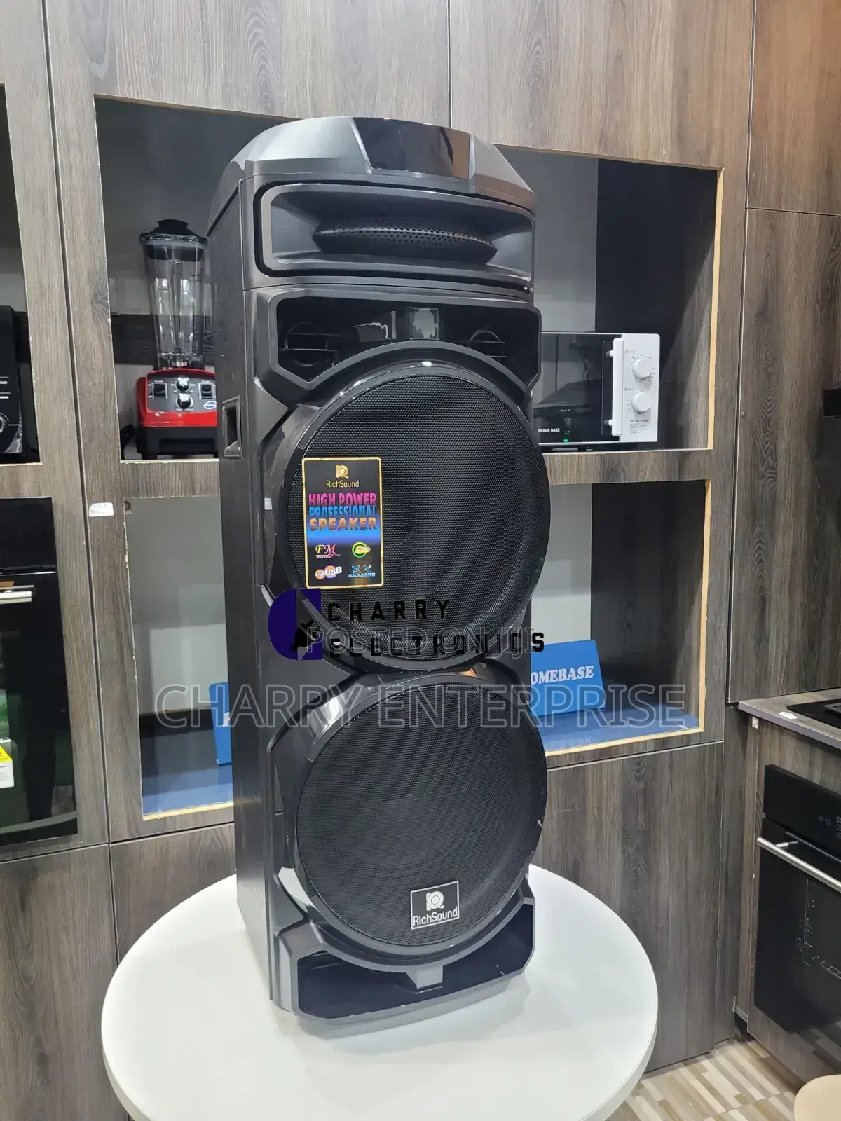 RICH SOUND 12"X 2 Active Professional Stage Speaker 100W