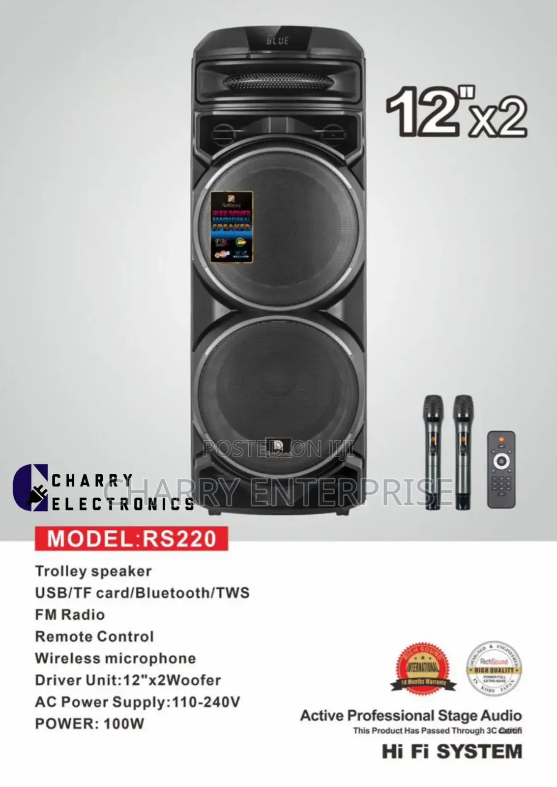 RICH SOUND 12"X 2 Active Professional Stage Speaker 100W