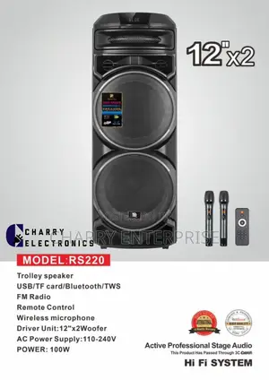 RICH SOUND 12"X 2 Active Professional Stage Speaker 100W