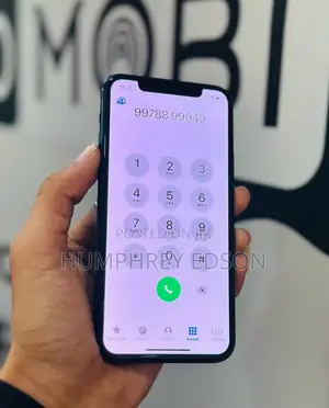 Apple iPhone 11 Pro Max 64 GB Gray