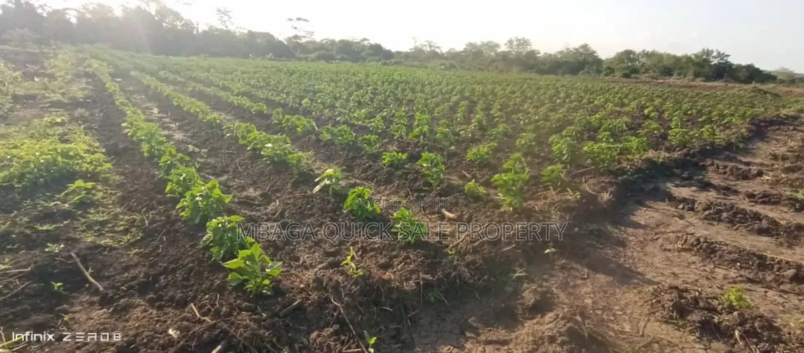 Farm Along River for Sale Per Acres at Kiwangwa Bagamoyo