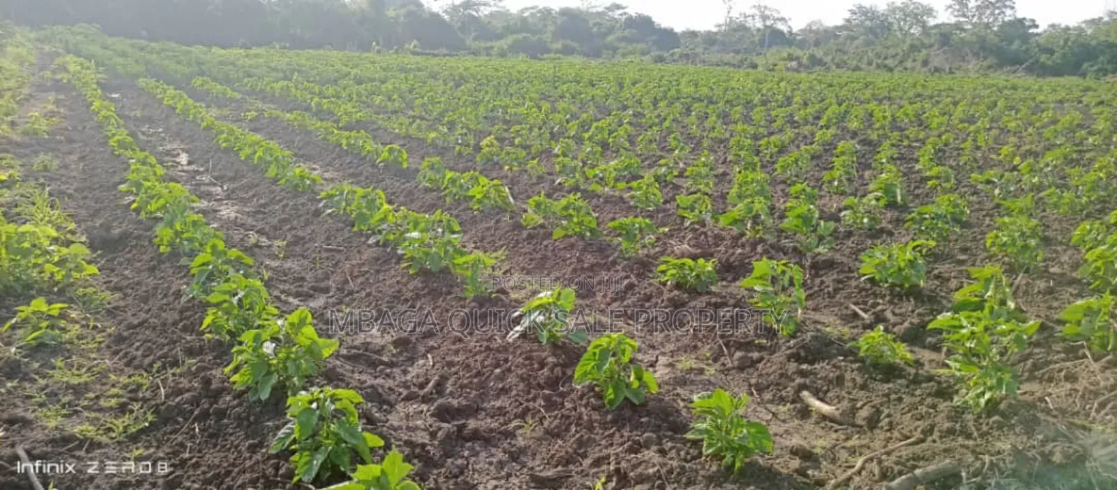 Farm Along River for Sale Per Acres at Kiwangwa Bagamoyo