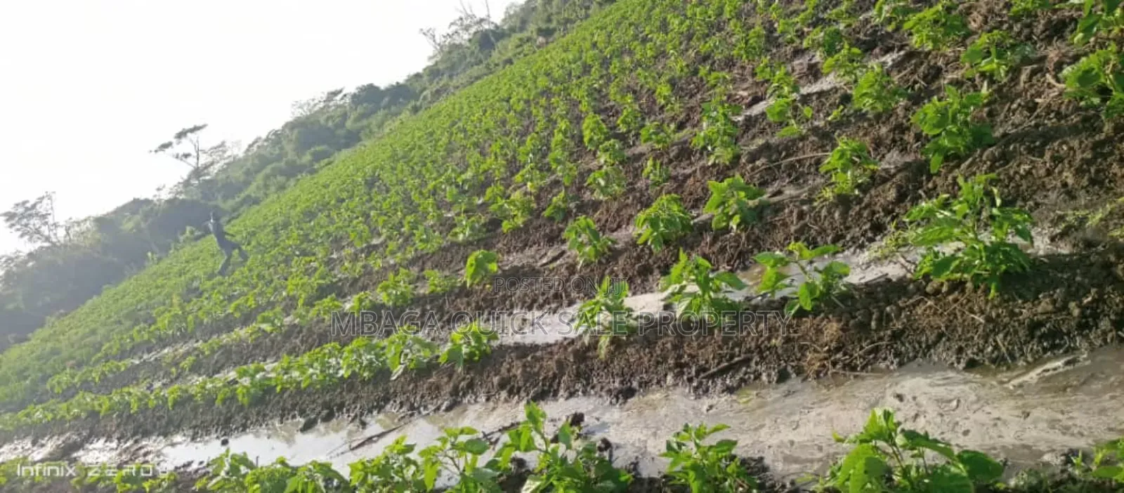 Farm Along River for Sale Per Acres at Kiwangwa Bagamoyo