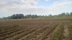 Farm Along River for Sale Per Acres at Kiwangwa Bagamoyo