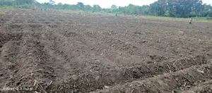Farm Along River for Sale Per Acres at Kiwangwa Bagamoyo