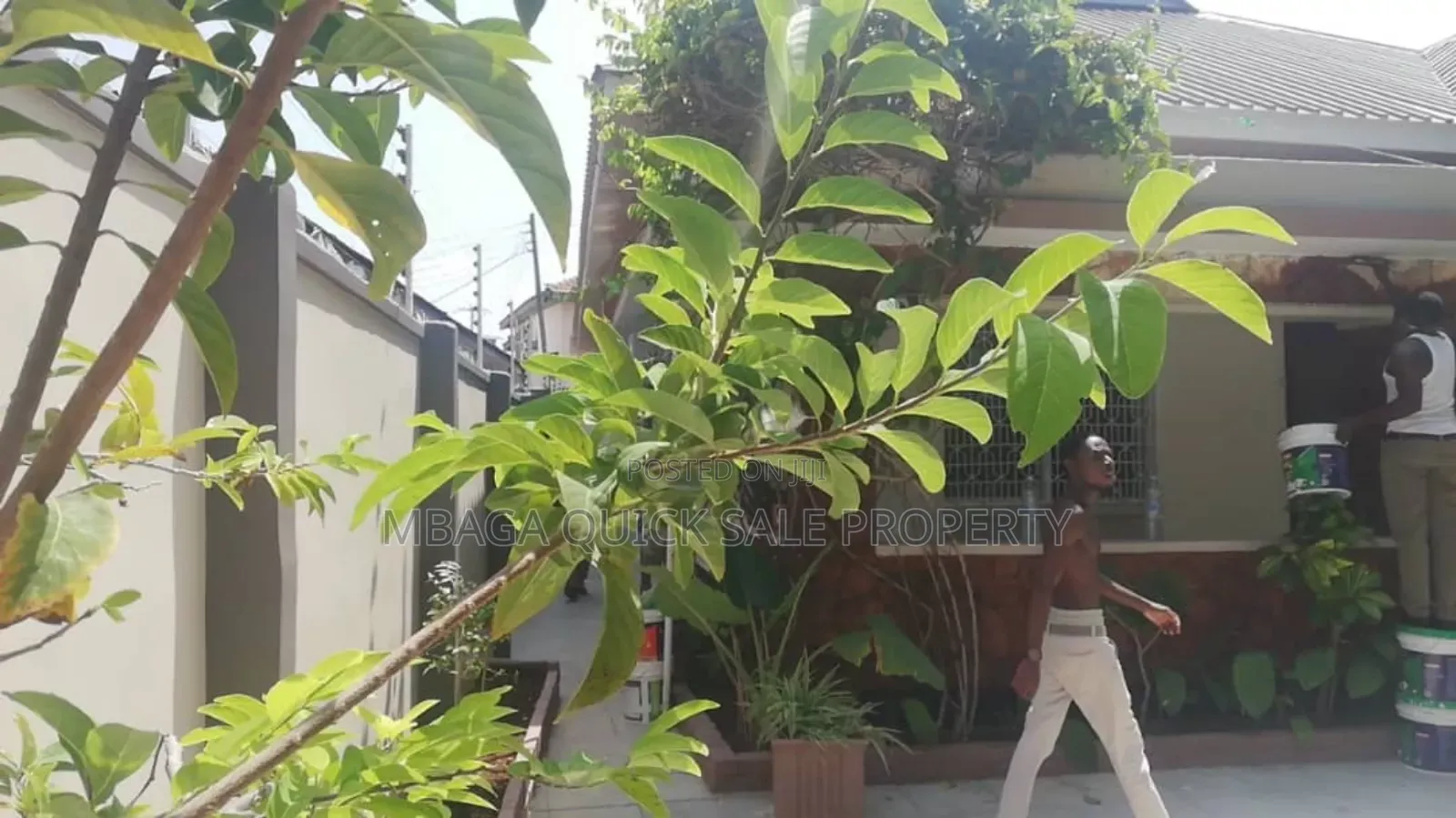 4bdrm House in Msasani Beach for rent