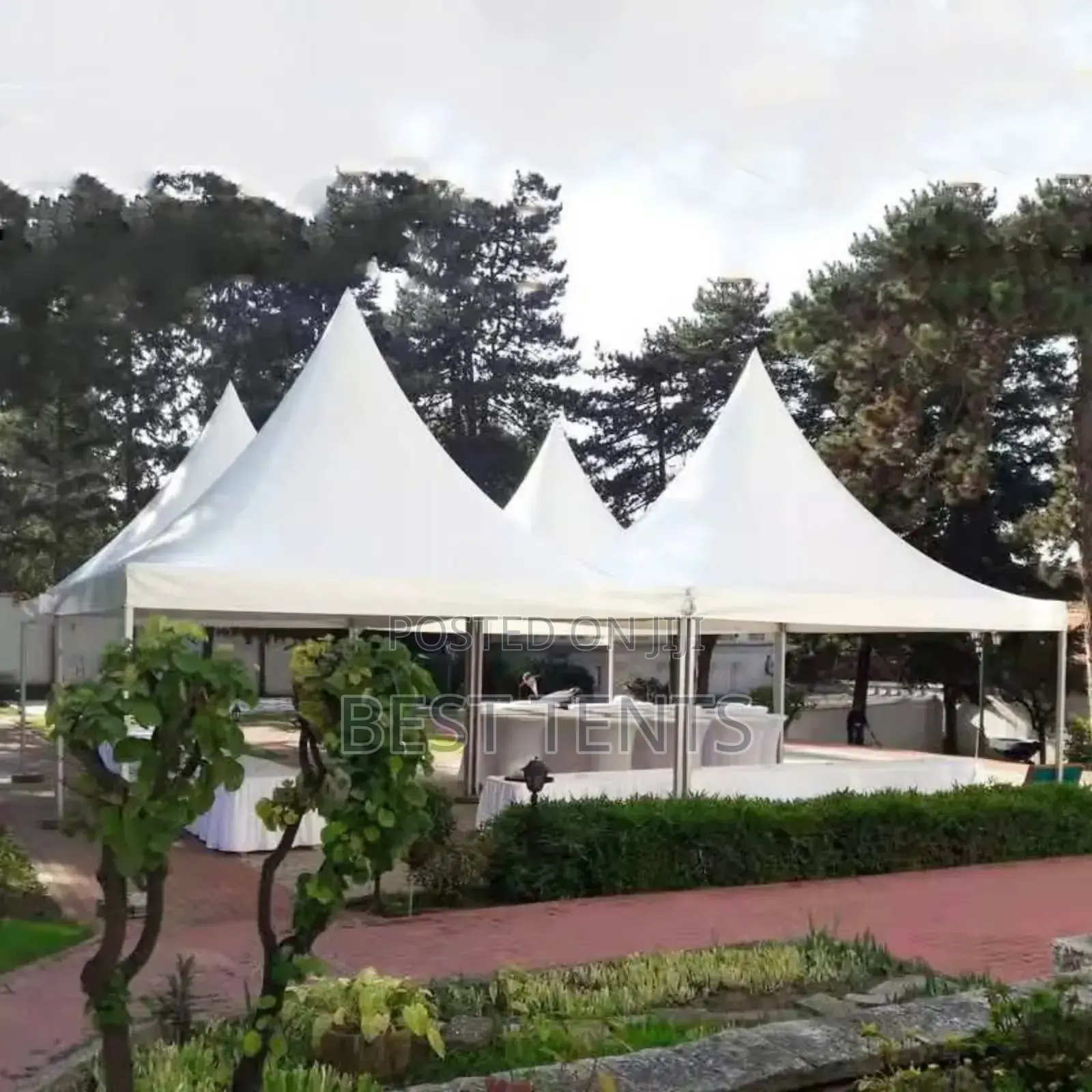 Tents, Canvas and Maturubai Supply Tz