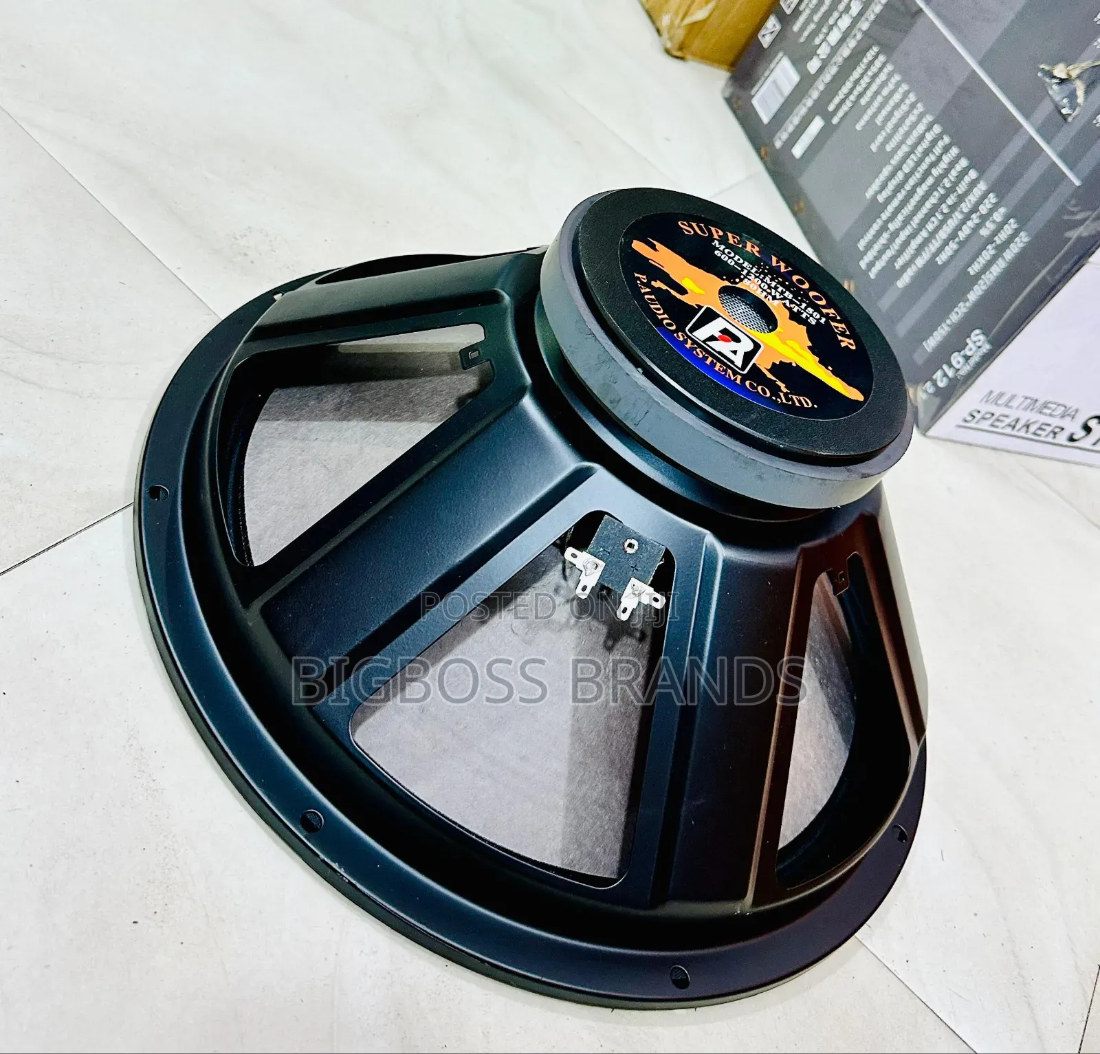 P.Audio Inch 18 Speaker
