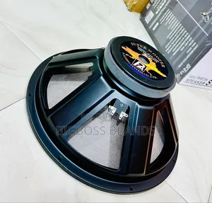 P.Audio Inch 18 Speaker