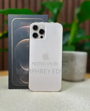 New Apple iPhone 12 Pro Max 128 GB Silver