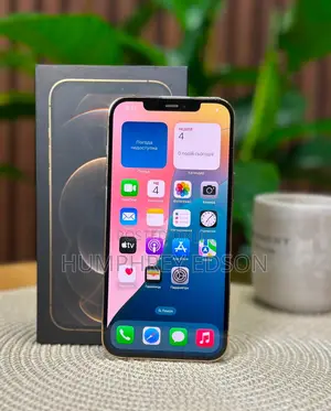 New Apple iPhone 12 Pro Max 128 GB Silver