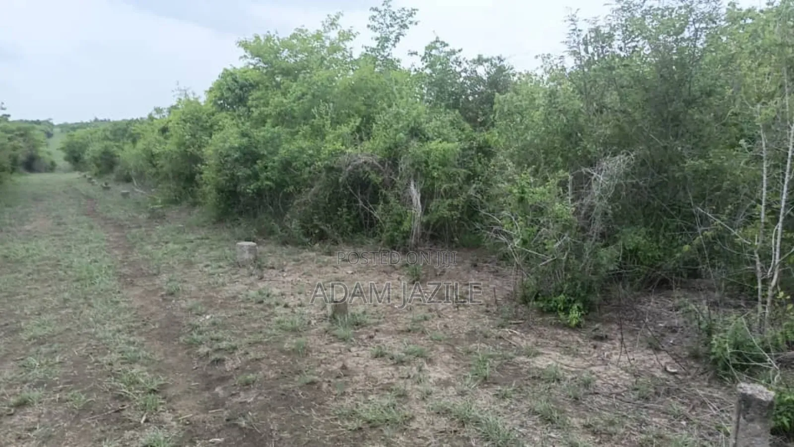 Shamba LA Ekari 1000 Bagamoyo