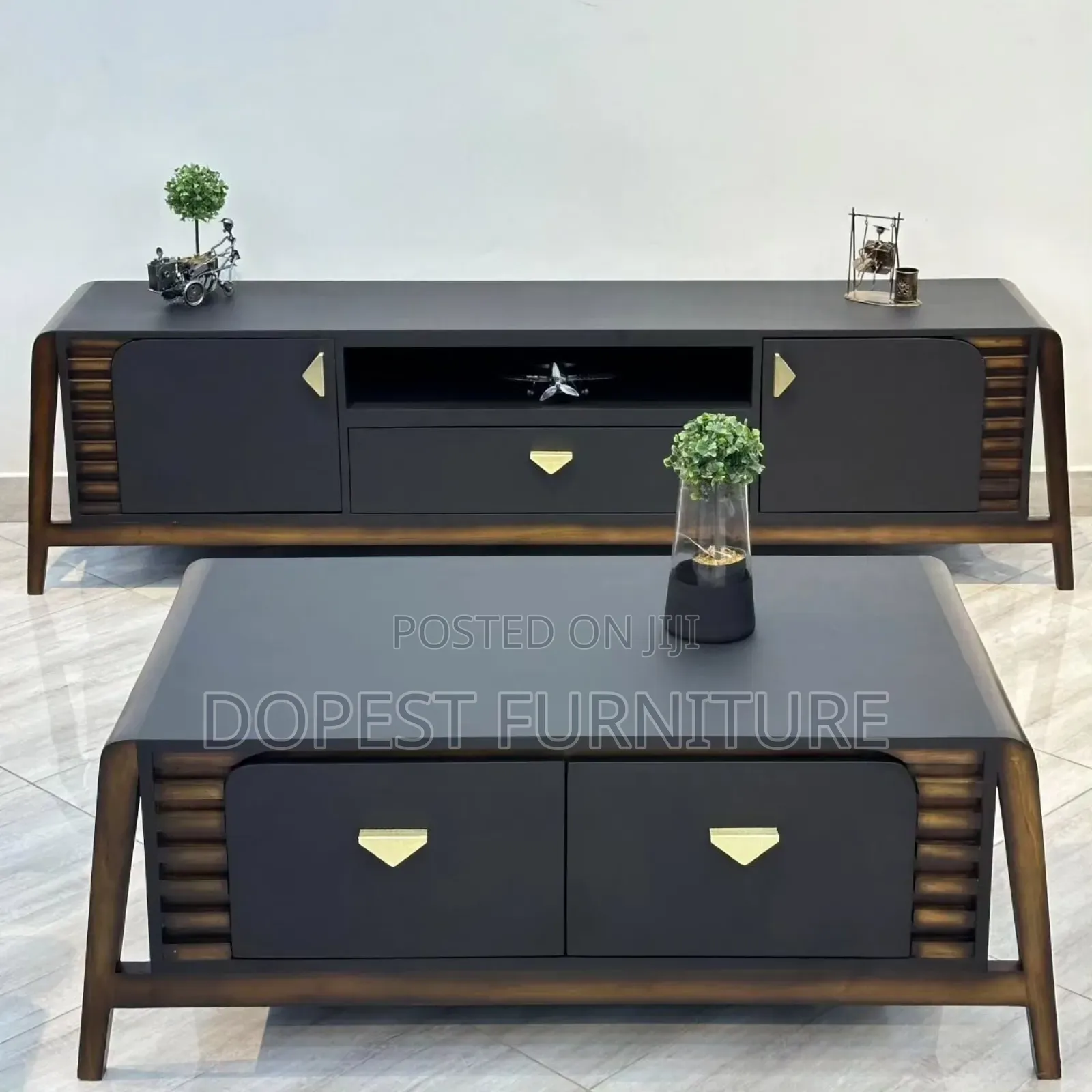 Tv Show Case and Coffee Table