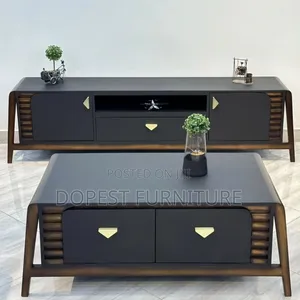 Tv Show Case and Coffee Table