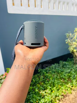 Sony SRS-XB100