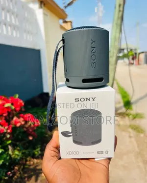 Sony SRS-XB100