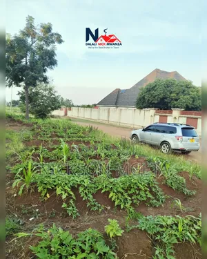 Plot for Sale