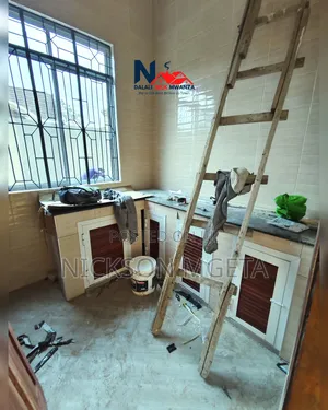 1bdrm Apartment in Dalali_Nick_Mwanza, Buzuruga for rent