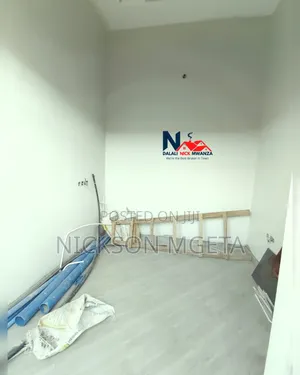 1bdrm Apartment in Dalali_Nick_Mwanza, Buzuruga for rent