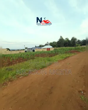 Plot for Sale