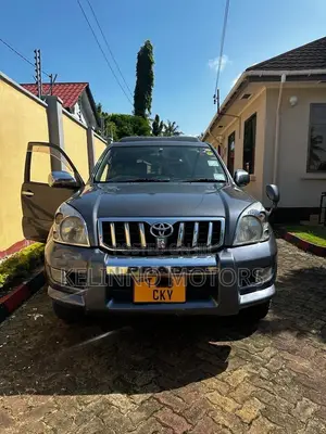 Toyota Land Cruiser Prado 2005 Gray