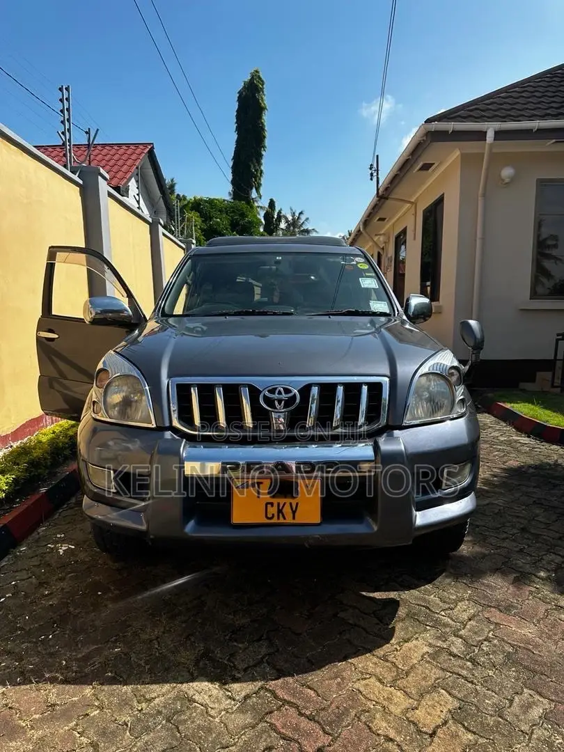 Toyota Land Cruiser Prado 2005 Gray