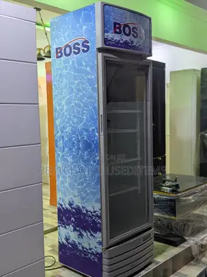 Show Case/ Display Friji Lita 300 Limetika Miezi Miwili