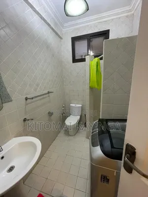 Furnished 3bdrm Apartment in Masaki for rent