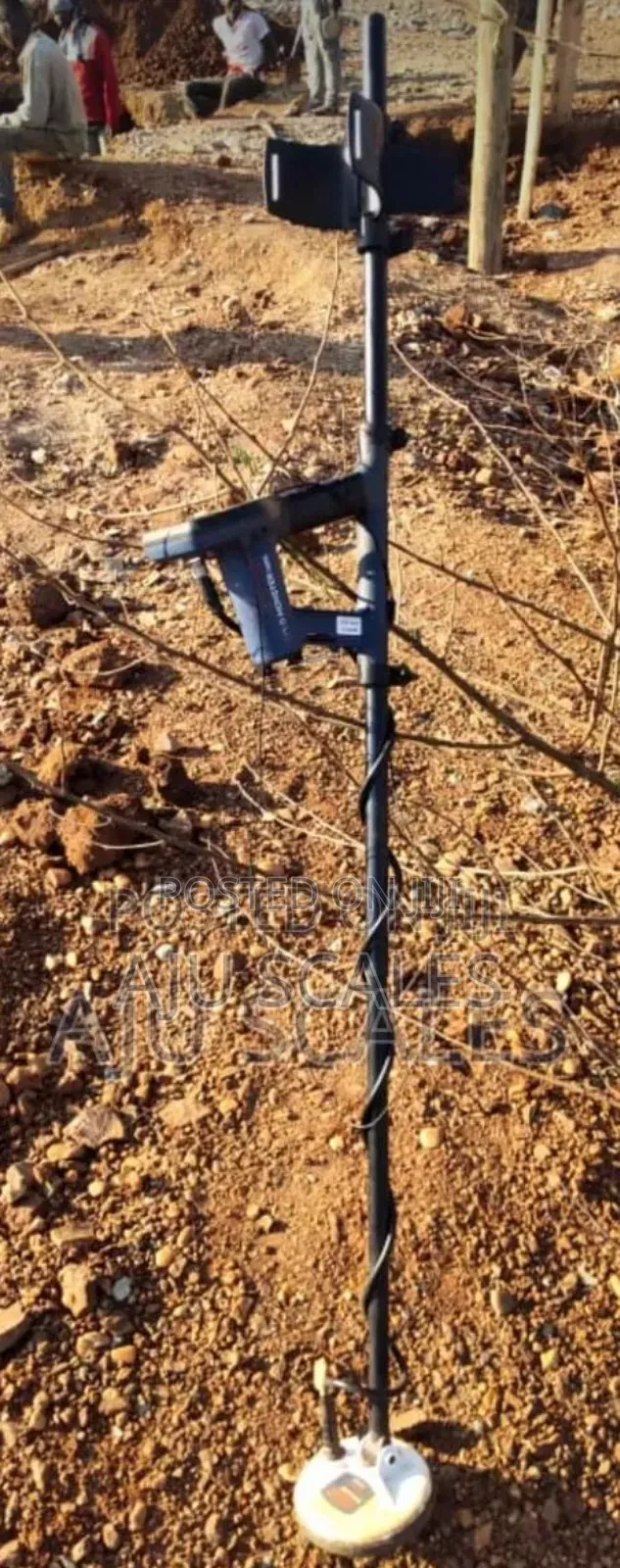 Minelab Gold Detectors