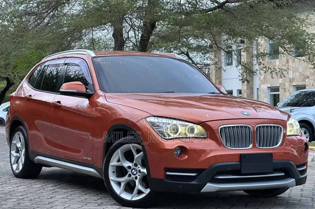 BMW X1 2014 Orange