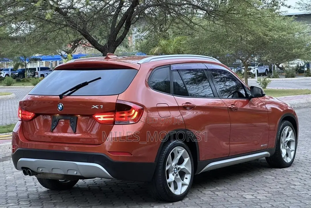 BMW X1 2014 Orange