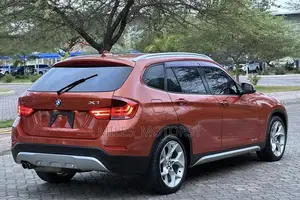 BMW X1 2014 Orange