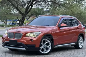 BMW X1 2014 Orange