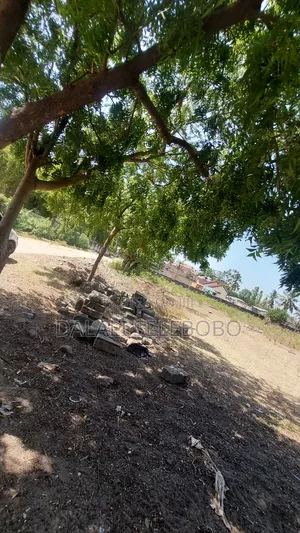 Plot 2in1 at Mbez Beach