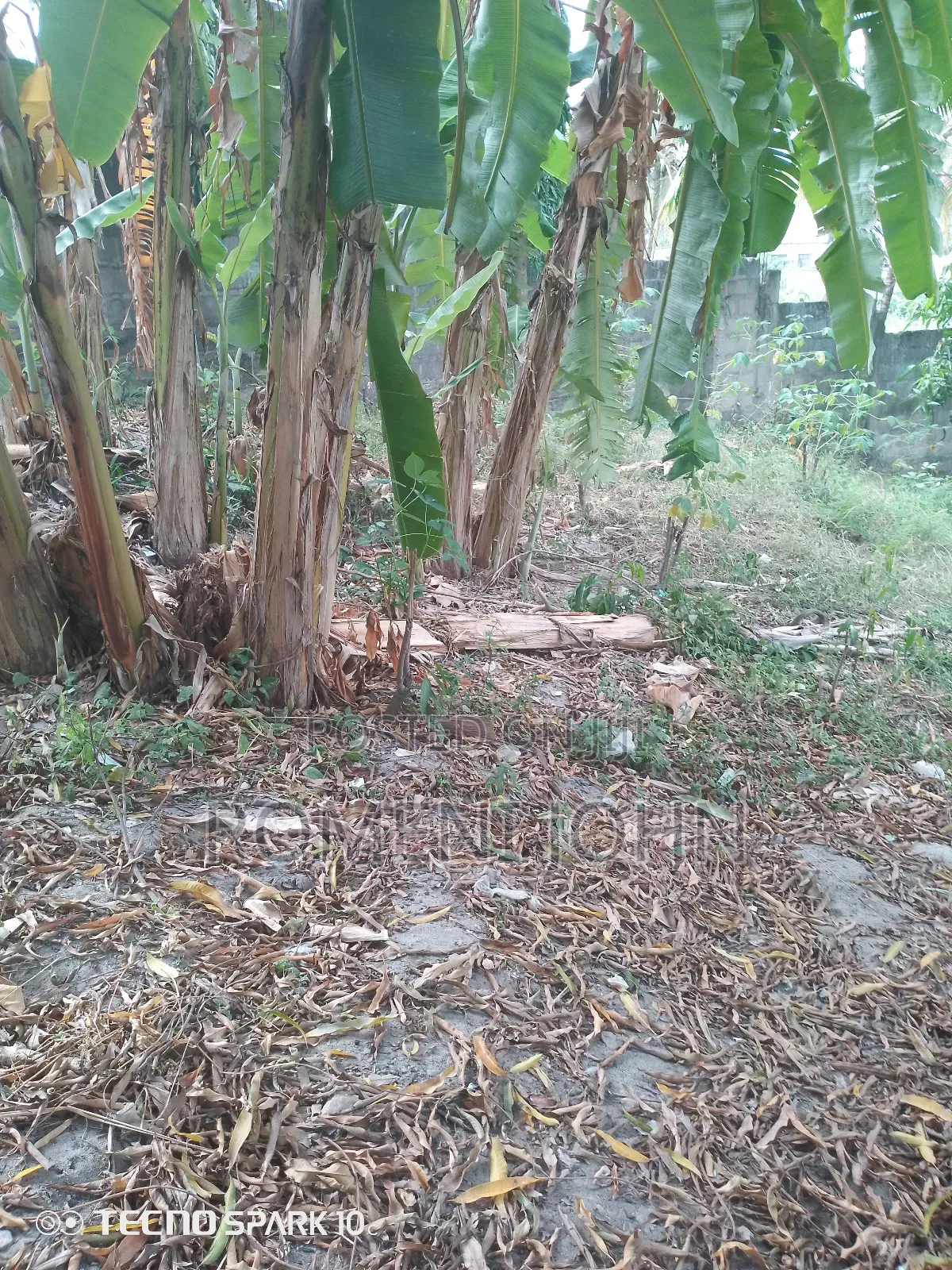 Kiwanja Sqmita 120 Kinauzwa Milioni 3.5 Ukonga Kwa Diwani.