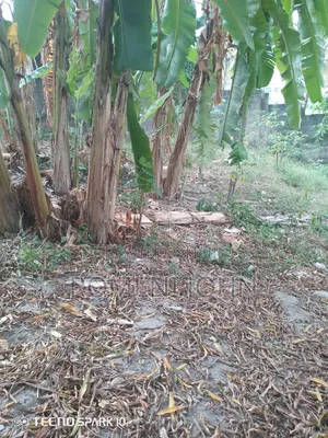 Kiwanja Sqmita 120 Kinauzwa Milioni 3.5 Ukonga Kwa Diwani.