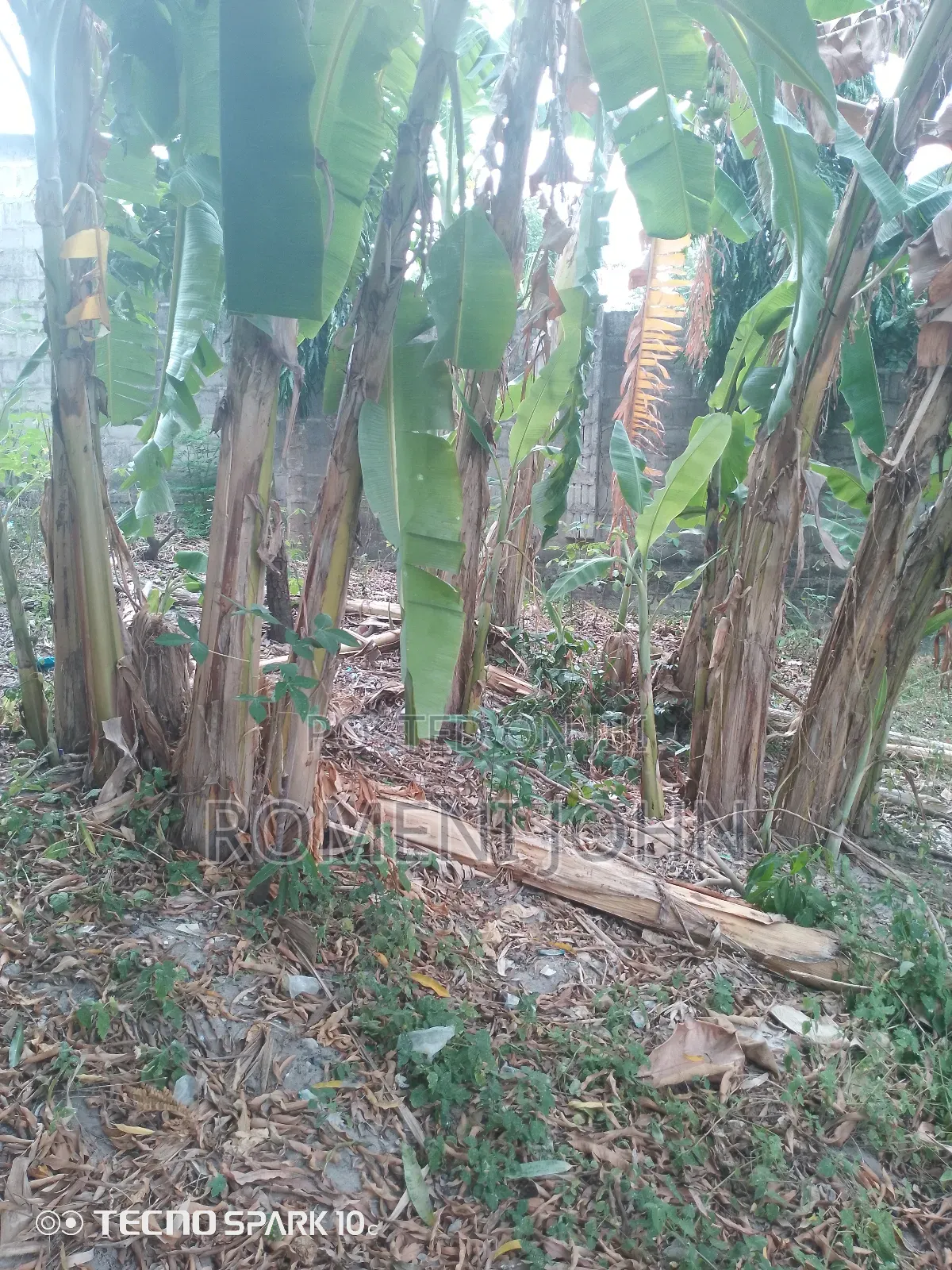 Kiwanja Sqmita 120 Kinauzwa Milioni 3.5 Ukonga Kwa Diwani.