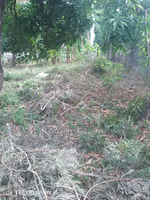 Kiwanja Sqmita 100 Kinauzwa Milioni 3.4 Ukonga Kwa Diwani.