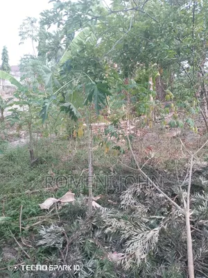 Kiwanja Sqmita 100 Kinauzwa Milioni 3.4 Ukonga Kwa Diwani.