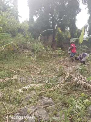 Kiwanja Sqmita 100 Kinauzwa Milioni 3.4 Ukonga Kwa Diwani.