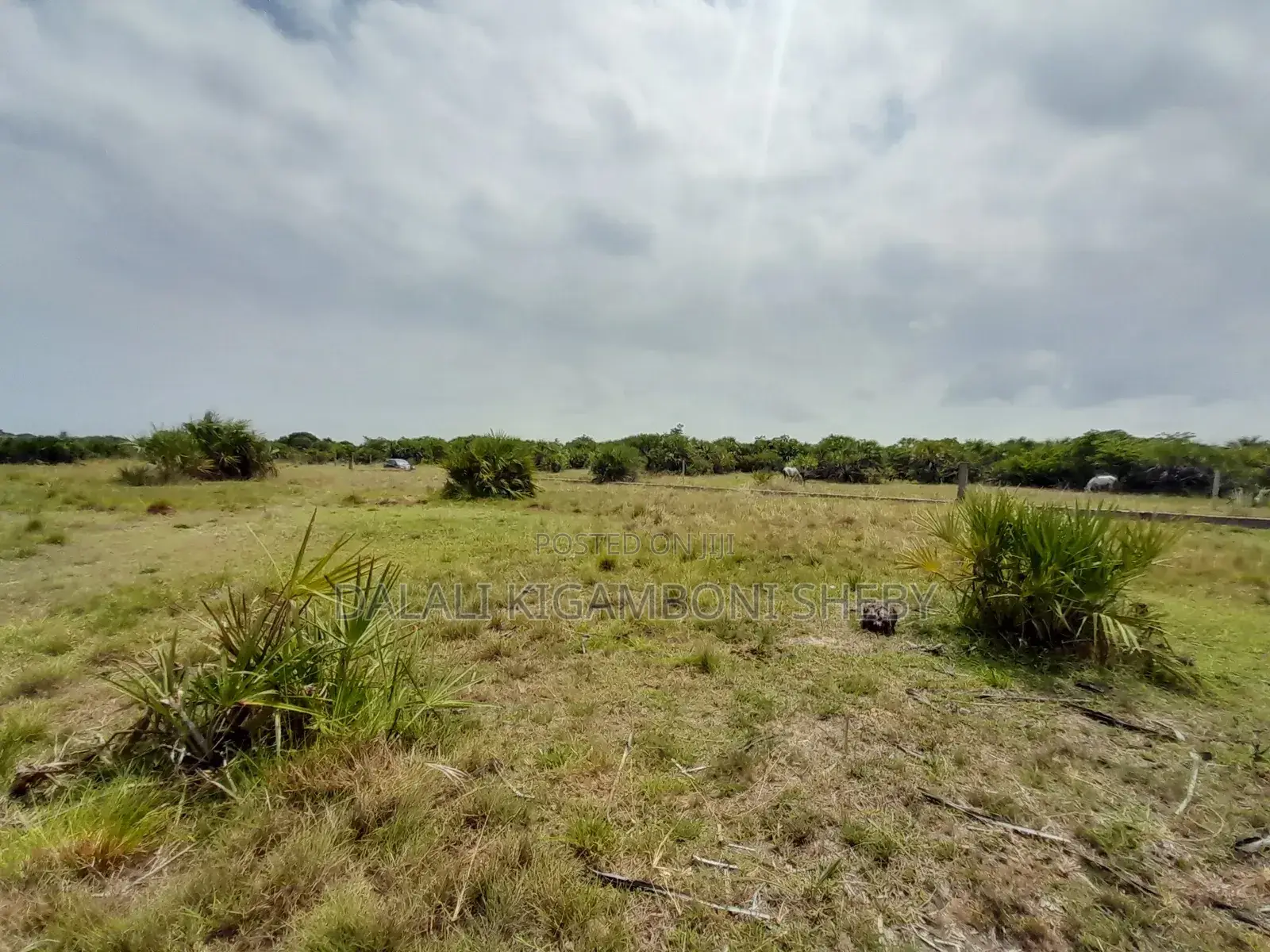Eneo LA Heka 8 Linauzwa Kigamboni Mbutu Kichangani Beach 