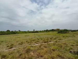 Eneo LA Heka 8 Linauzwa Kigamboni Mbutu Kichangani Beach 