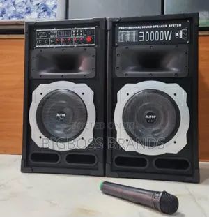 Alitop Double Speaker 30000 Watts