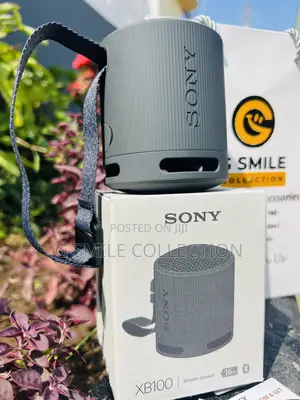 Sony Xb100 Speaker